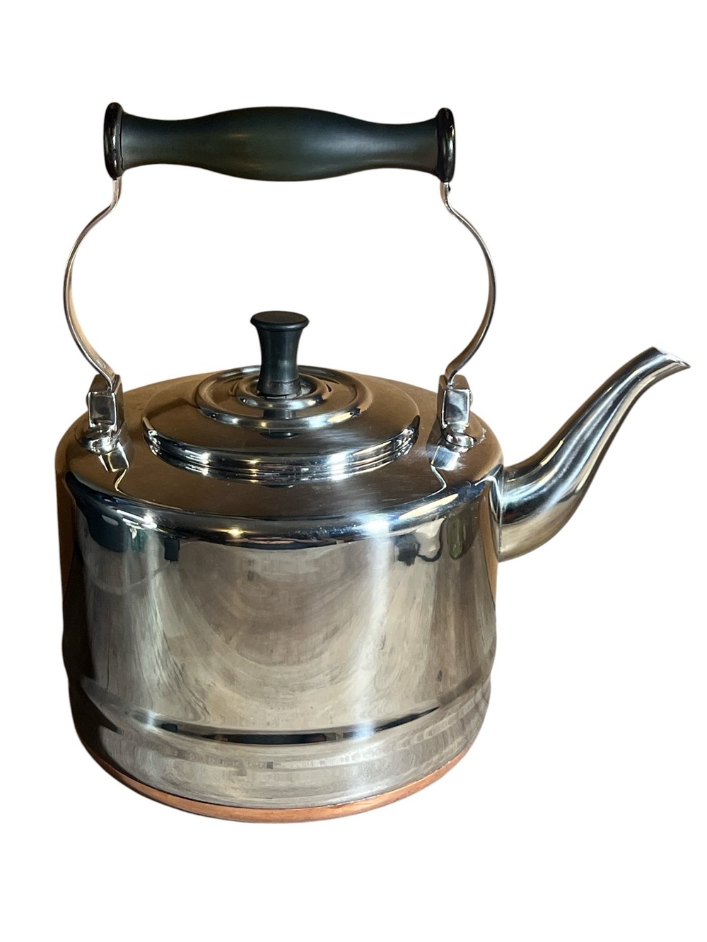 Bonjour Stainless Steel Tea Kettle - Copper Bottom Teapot